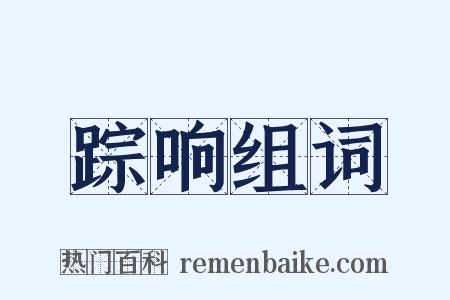 踪响组词是什么意思的图片